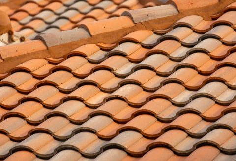 Featured image for “5 Essential Roof Maintenance Tips”