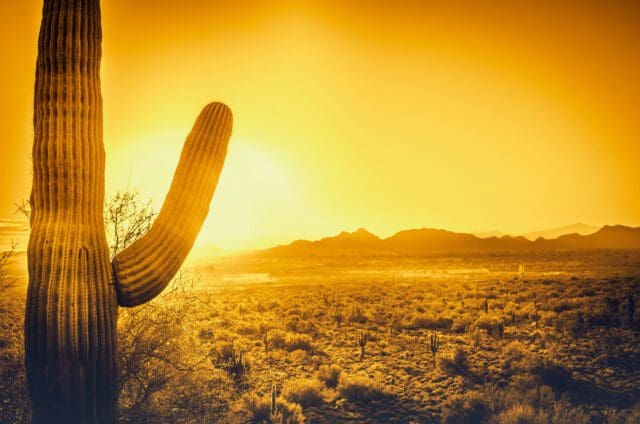 Featured image for “Roofing Services for Arizona’s Harsh Climate”