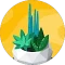 Jan P. Avatar